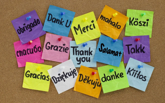 Thank you for your donation!